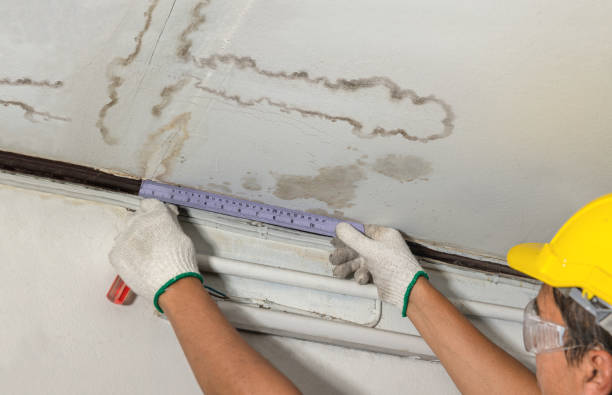 Reliable Water Damage contractor in Saulsbury, TN by Water Damage Irwin